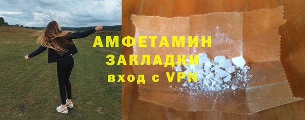 ГАЛЛЮЦИНОГЕННЫЕ ГРИБЫ Бородино