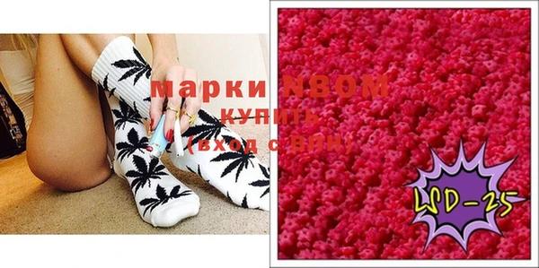 ГАЛЛЮЦИНОГЕННЫЕ ГРИБЫ Бородино