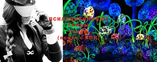 ГАЛЛЮЦИНОГЕННЫЕ ГРИБЫ Бородино