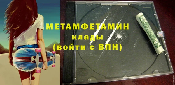 ГАЛЛЮЦИНОГЕННЫЕ ГРИБЫ Бородино